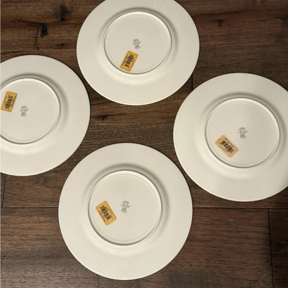 Simchah Hebrew plates set of 4 , Judaic Celebration American Jewish